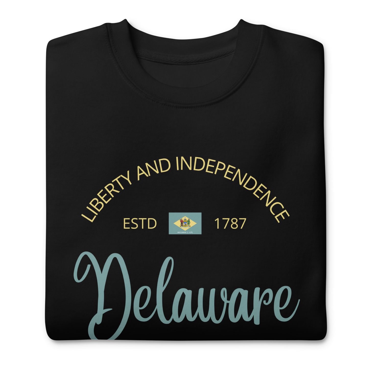 Delaware - Motto Sweatshirt