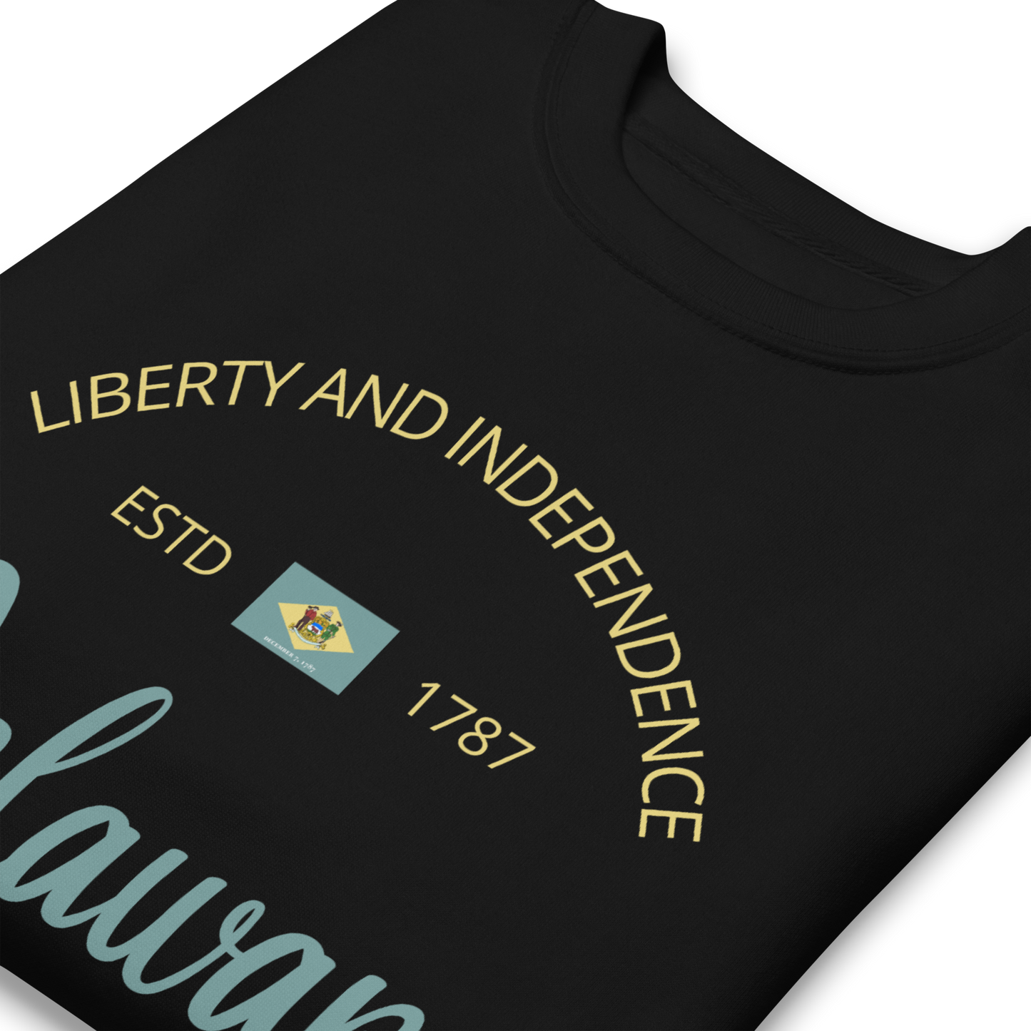 Delaware - Motto Sweatshirt