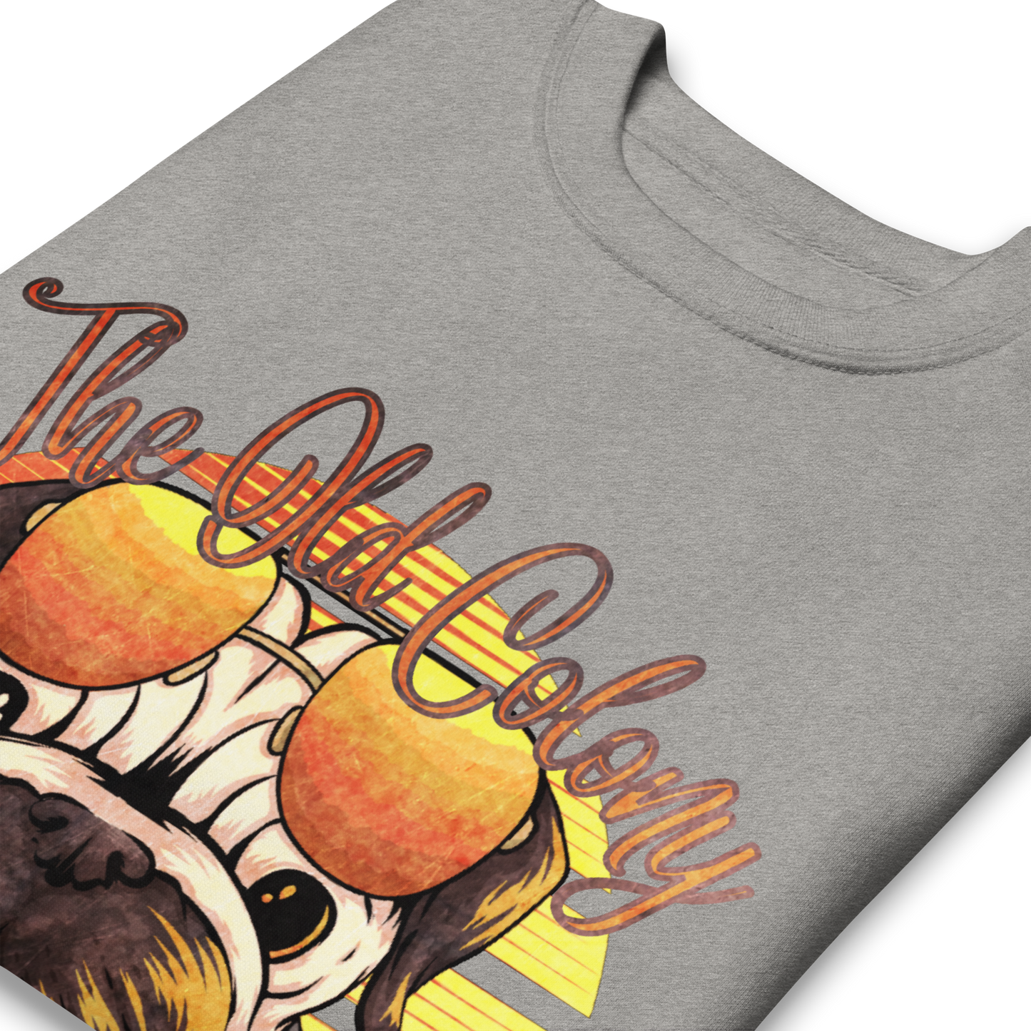The Old Colony - Sweatshirt